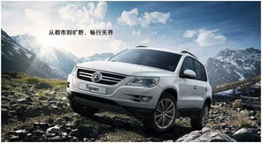 进口汽车回弹多少正常