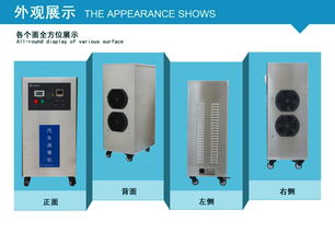 汽车臭氧消毒多少费用