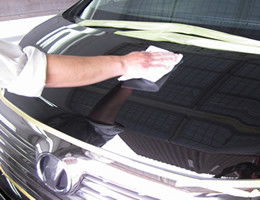 消毒汽车用多少瓶