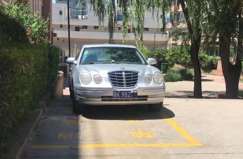 东胜有多少辆汽车 东胜有多少辆汽车