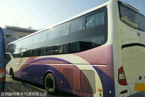 卧铺汽车多少钱