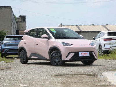 比亚迪海鸥汽车排量多少