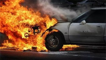 汽车每年烧掉多少油费