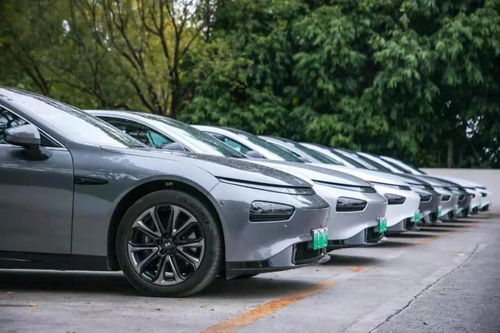 汽车产卵多少钱