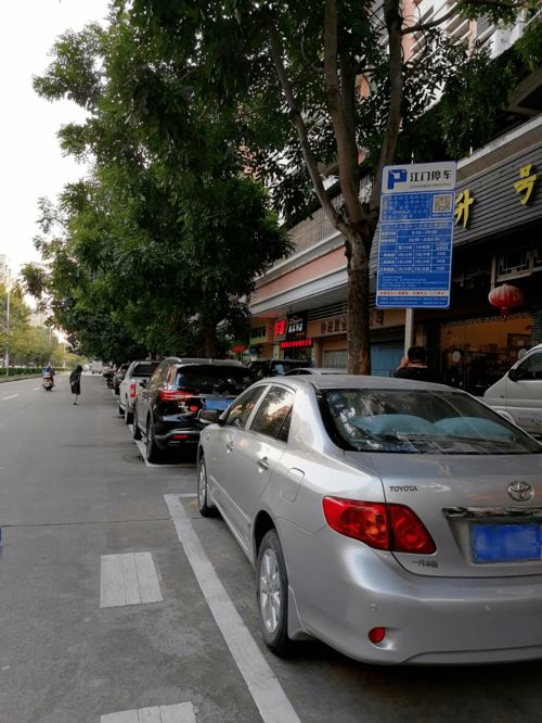 江门汽车今日油价多少