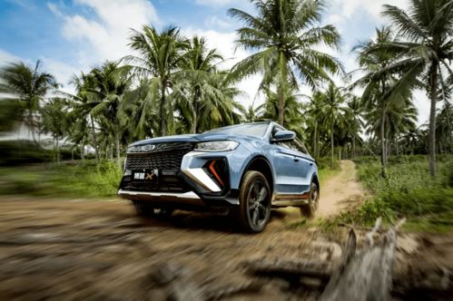 x代表数字多少汽车