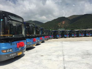 保山有多少辆汽车