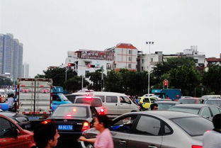 汽车直行概率是多少