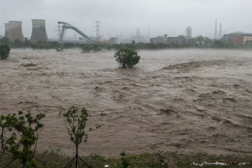 涿州泄洪汽车有多少