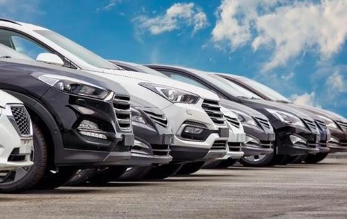 聊城去年汽车补贴多少