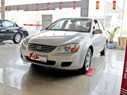 赛拉图汽车要多少机油