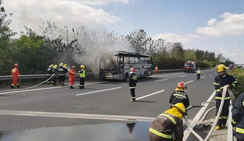 泗阳有多少辆汽车