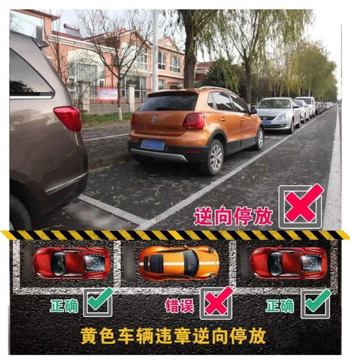 汽车多少米不能停车