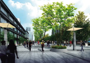 市区道路汽车多少迈