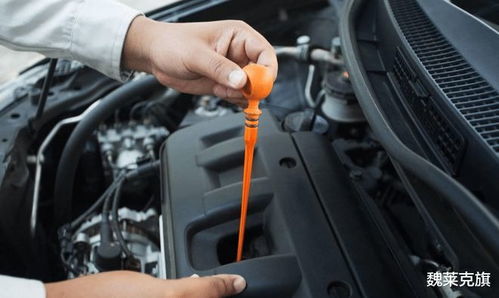 如何测汽车机油多少