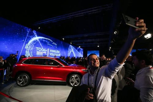 土耳其有多少辆汽车 土耳其有多少辆汽车