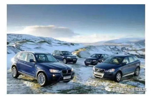 山东小汽车有多少