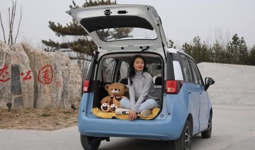 大熊汽车多少钱