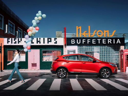 汽车大牌价格多少