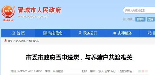 晋城政府汽车补贴多少