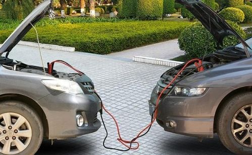 汽车竹炭放多少合适