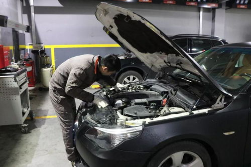 修理汽车有多少项