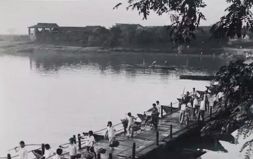 汽车过浮桥速度多少