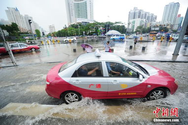 深圳汽车被淹数量多少 深圳汽车被淹数量多少