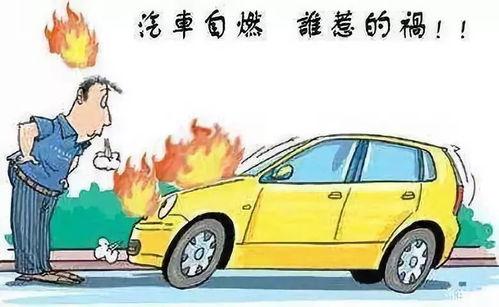 汽车有多少香味啊