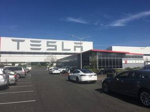 工厂汽车被罚款多少