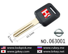 汽车遥控电笔多少伏