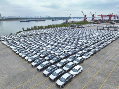 汽车出海成本多少 汽车出海成本多少