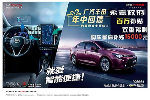 永嘉政府汽车补贴多少