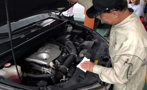 汽车多少万做大保养