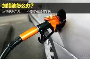 汽车油路清洗多少价格 汽车油路清洗多少价格