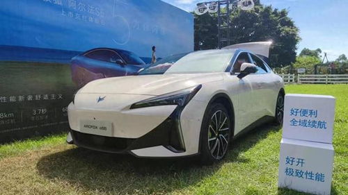 阿尔法汽车高度多少米