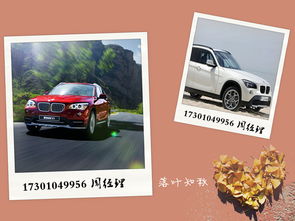 台湾汽车卖价多少