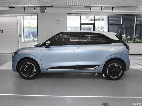 纳米汽车多少钱