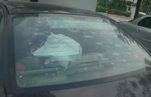 汽车暴晒有多少甲醛