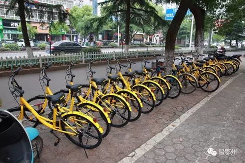 鄂州共享汽车有多少