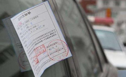 汽车每月罚单限额多少