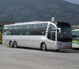 夏邑汽车报价多少