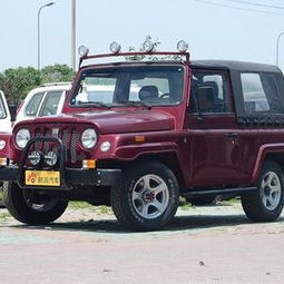 战旗汽车内径多少