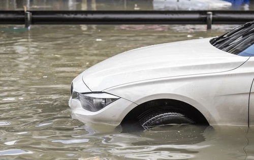 汽车要用多少水泡车