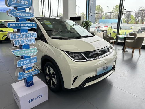 海豚汽车最初报价多少