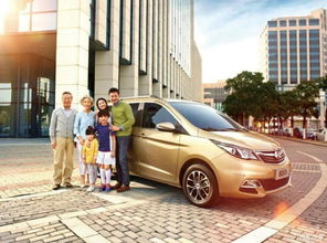 威海多少家庭有汽车