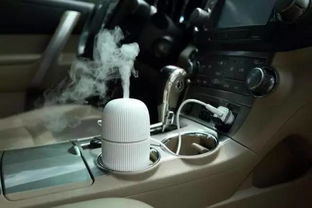 汽车加湿器放多少精油 汽车加湿器放多少精油