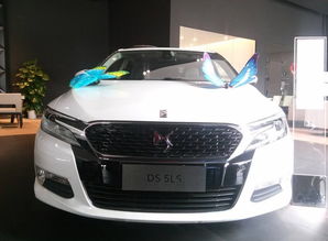 ds汽车耗油多少正常