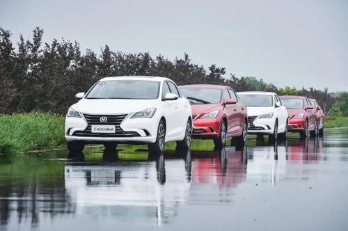 广汇汽车有多少 广汇汽车有多少