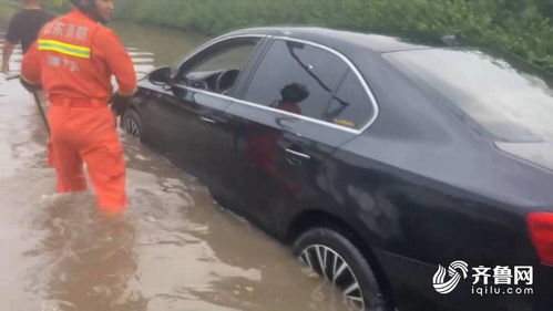 枣庄有多少辆汽车